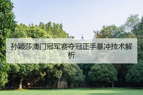 sun-ying-sha-ao-men-guan-jun-sai-duo-guan-zheng-shou-bao-chong-ji-shu-jie-xi-2-182.jpg