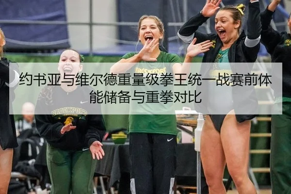 约书亚与维尔德重量级拳王统一战赛前体能储备与重拳对比